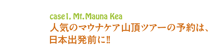 case1,Mt.Mauna Kea 人気のマウナケア山頂ツアーの予約は、日本出発前に！